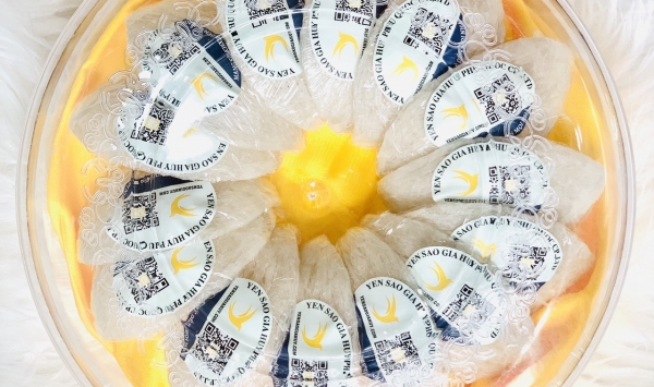 Chuyến đi thăm nhà yến cuối năm, hi vọng năm mới mọi điều thuận lợi